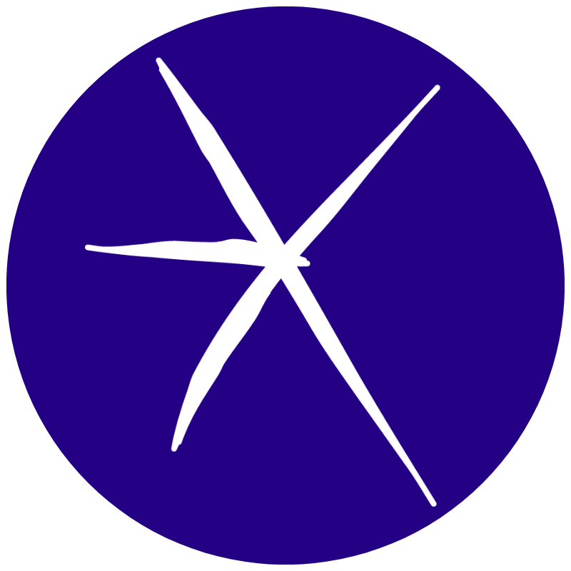 White ESCP star logo on blue background